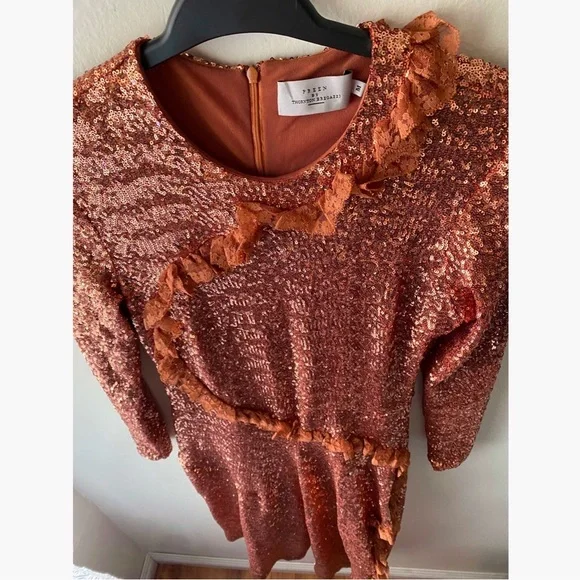 Preen by Thornton Bregazzi Copper Sequin Dress - Picture 6 of 9